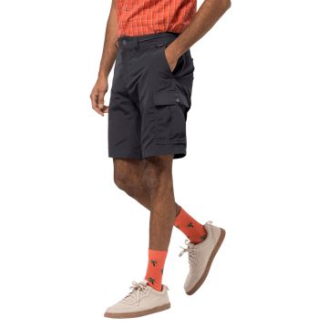 Spodenki męskie Jack Wolfskin CANYON CARGO SHORTS asphalt
