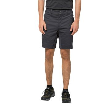 Męskie spodenki trekkingowe Jack Wolfskin ACTIVATE TOUR SHORT M phantom