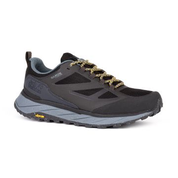 Męskie buty turystyczne Jack Wolfskin TERRAVENTURE TEXAPORE LOW M phantom/grey