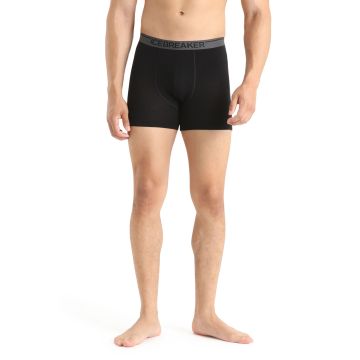Męskie bokserki termoaktywne Icebreaker Merino Anatomica Boxers black