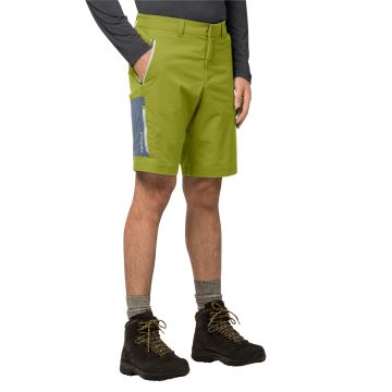 Męskie spodenki turystyczne Jack Wolfskin OVERLAND SHORTS M golden cypress