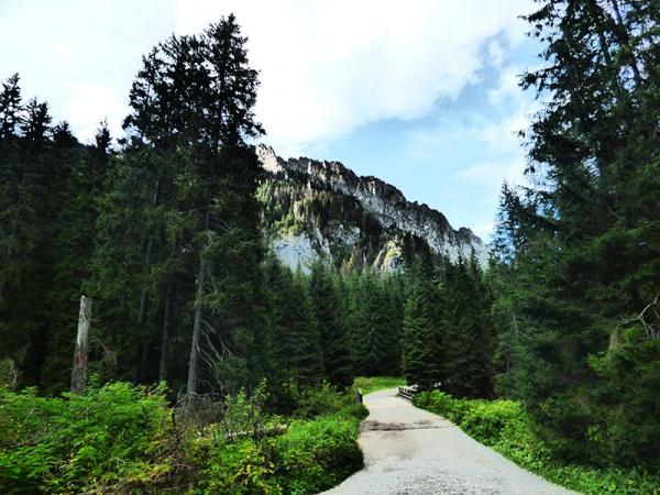 Szukasz pomysłu na weekend? Ruszaj w Tatry i odwiedź malowniczą Dolinę Kościeliską!