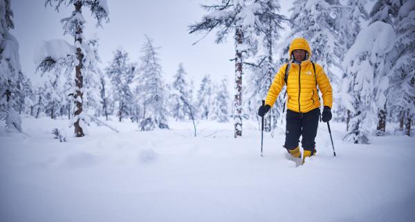 Puch syntetyczny kontra puch naturalny. Czy sztuczny puch jest w stanie zastąpić naturalne wypełnienie?