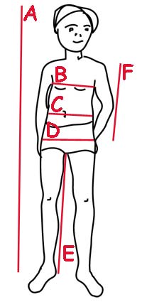 dziecko - schemat wymiarów ciała